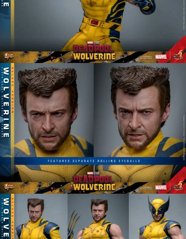 Hottoys Wolverine 1/6 Scale Action Figure MMS754 Deluxe Edition Deadpool And Wolverine Marvel Movie Collectible For Adult Fans