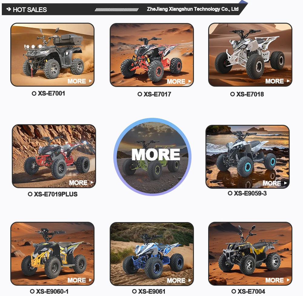 Factory Direct Sale High Cost-Effectiveness Electric ATV Can Choose 48V60V with Ce Certification