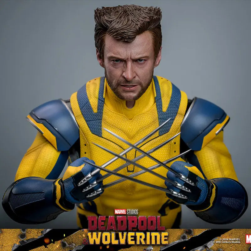 Hottoys Wolverine 1/6 Scale Action Figure MMS754 Deluxe Edition Deadpool And Wolverine Marvel Movie Collectible For Adult Fans