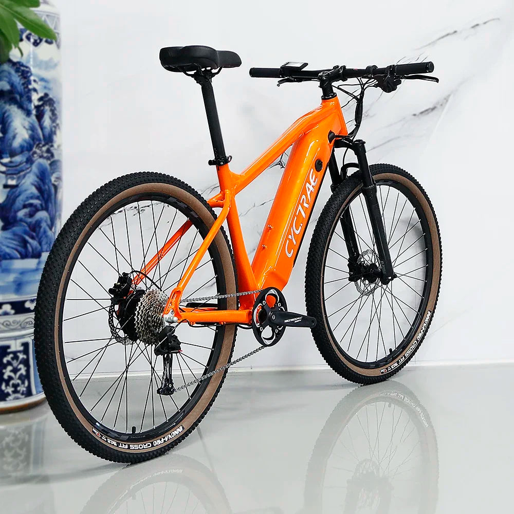 TWITTER E300 27.5/29in 48V500W13A resistive force bike 624Wh mountain e-bike with power-off hydraulic brakes electric bicycle