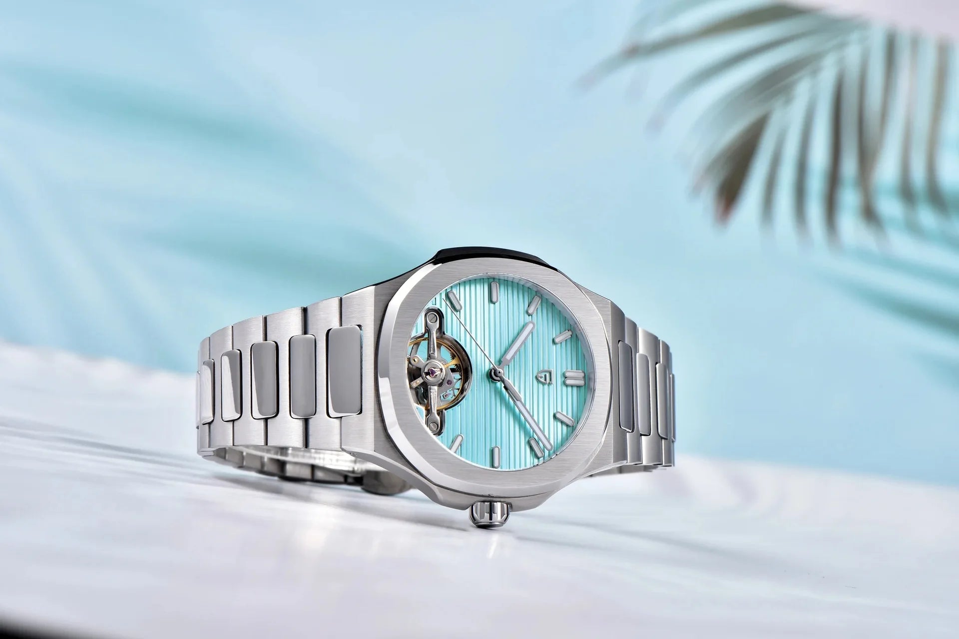 PAGANI DESIGN PD-YS025 New Automatic Men's Watch Full Stainless Steel Mechanical Wrist Watch for Men, Sapphire Dial Glass