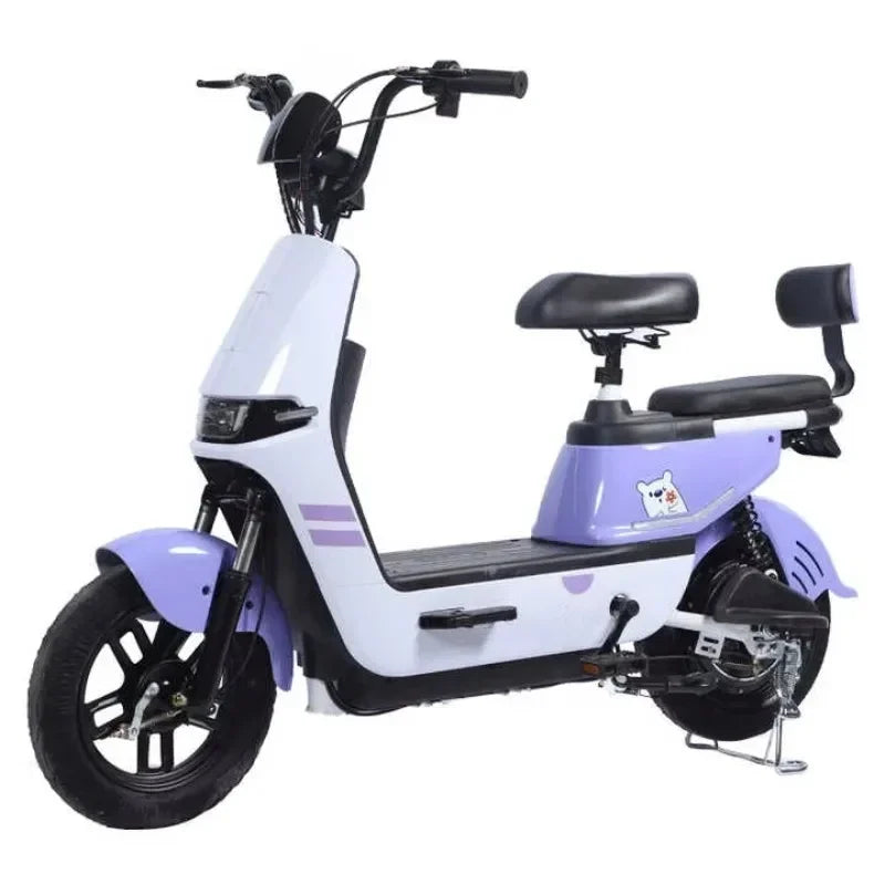 High-end 48v Electric Bike Smart Rear Hub Motor Vintage Charger 2-Wheel E-Bicycle Controller Integrated Big Power