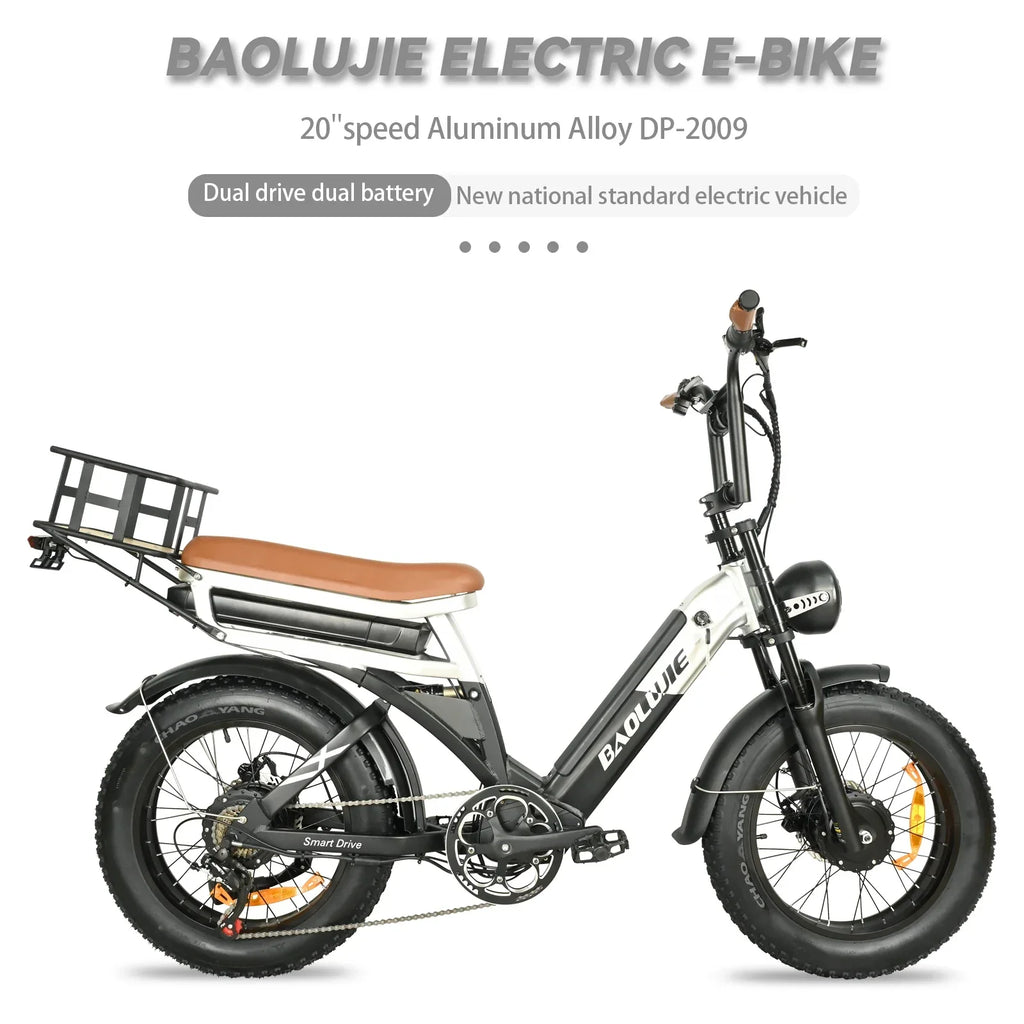 Baolujie DP2033 Electric Bicycle 2000W Dual Motor 48V30AH Lithium Battery E-bike 20*4 Inch Fat Tire Mountain Cargo Electric Bike