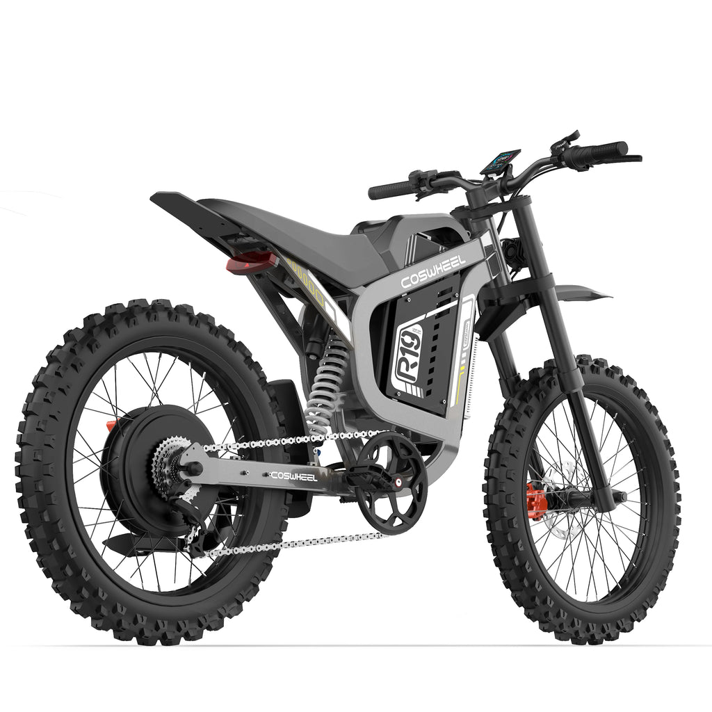 Coswheel R19 adult E-bike 3000W Motor 72V 40Ah battery commute Electric Bike,19-inch Tire E-Mountain bike