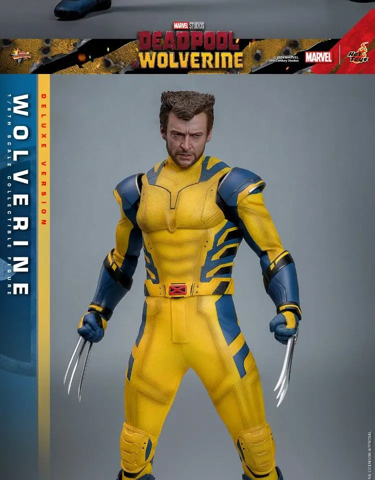 Hot Toys Mms754 Mms753 Wolverine 1/6 Scale Sci Fi Movie Collectible Articulated Action Figure 30cm Desktop Ornament In Stock