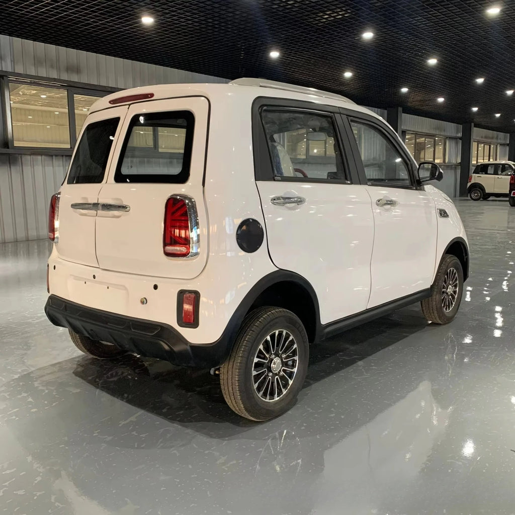 Electric four-wheeled elderly car Fully enclosed car Dual fuel scooter 3kW motor Comfortable sightseeing car