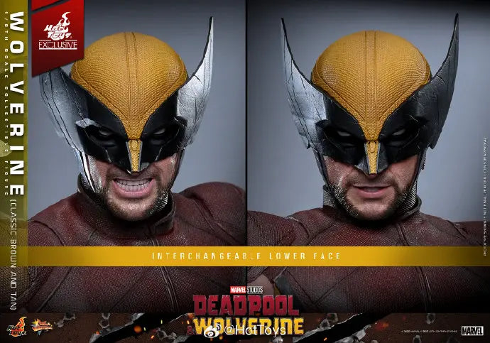 In Stock HotToys MMS831 Wolverine Classic Brown and Tan 1/6 Soldier Figure Animation Action Figure Toy Gift Model Collection