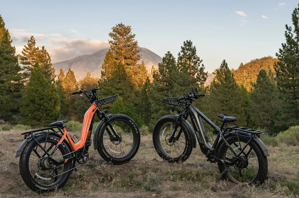 New 20" ELECTRIC BIKE 1000W 52V 20AH UP TO 32KM/H E-BIKE & Torque sensor  USA