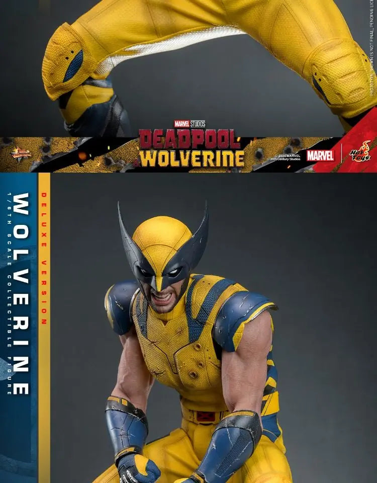 Hottoys Wolverine 1/6 Scale Action Figure MMS754 Deluxe Edition Deadpool And Wolverine Marvel Movie Collectible For Adult Fans