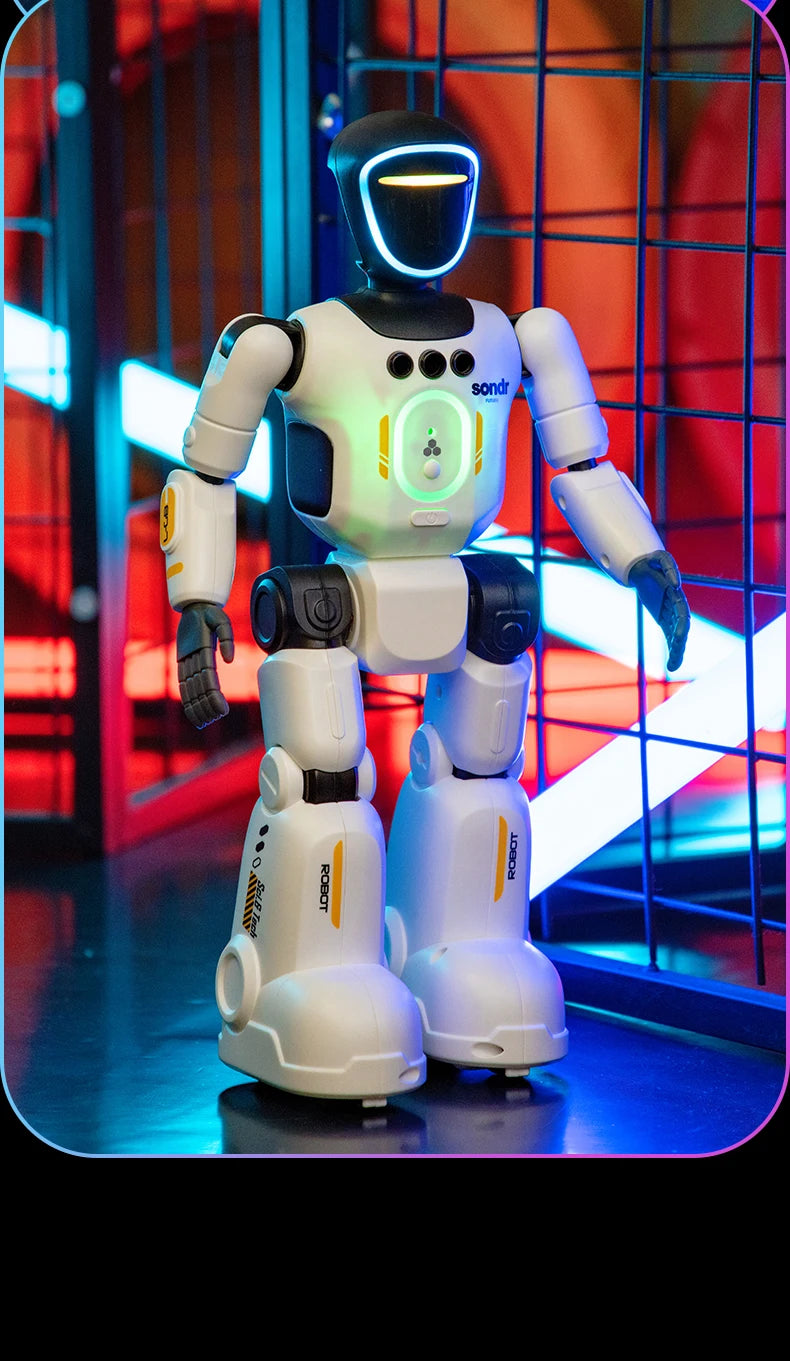 Smart Programming Humanoid Gesture Sensing Remote Control Robot 2.4G Joint Mobility Breathing Light Recording Function RC Robot