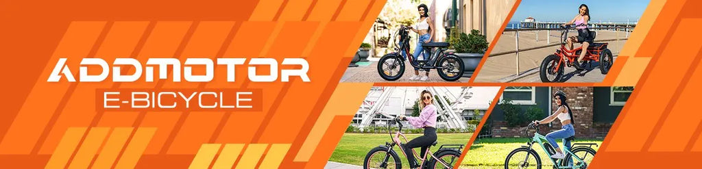 -310 Folding 3Wheel E-bike Electric Trike 750W 20Ah 90MI Adult
