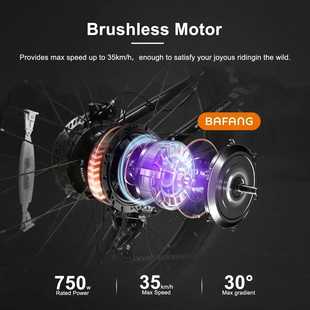 SAMEBIKE RS-A08 Electric Bike 1000W Motor 48V 17Ah Battery Hydraulic brake 26*4.0Inch Fat Tires Electric Bicycle Mountain E-bike
