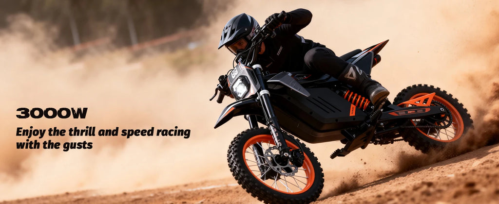 FREEBOY 3000W Electric Dirt Bike for Teens&Adults, 34mph, 48V 30Ah Battery, Off Road Electric Motorcycle with 14''/12'' Tires