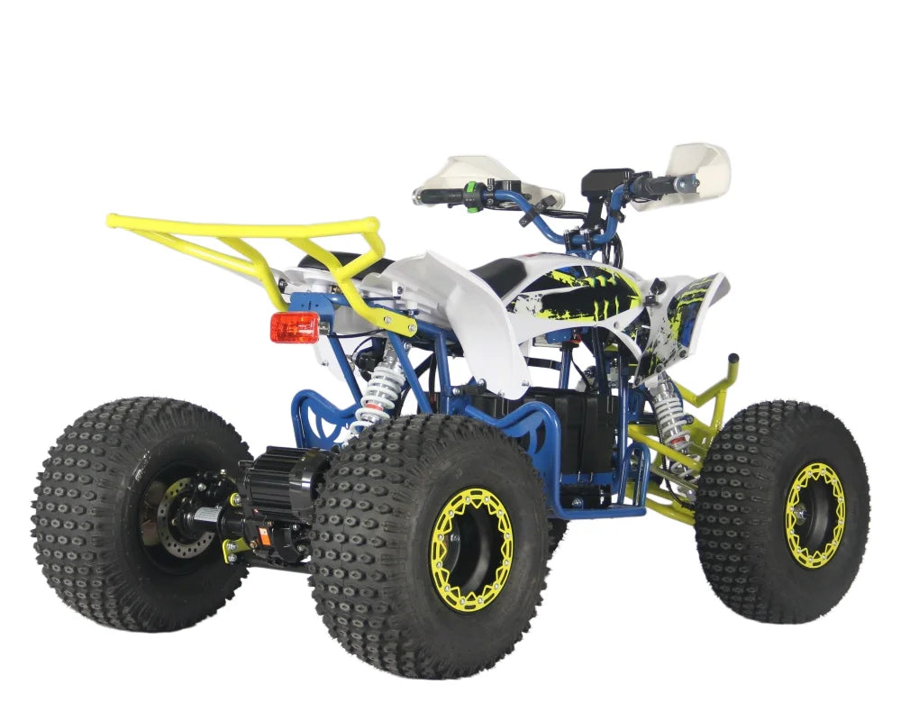 Factory Direct Sale High Cost-Effectiveness Electric ATV Can Choose 48V60V with Ce Certification