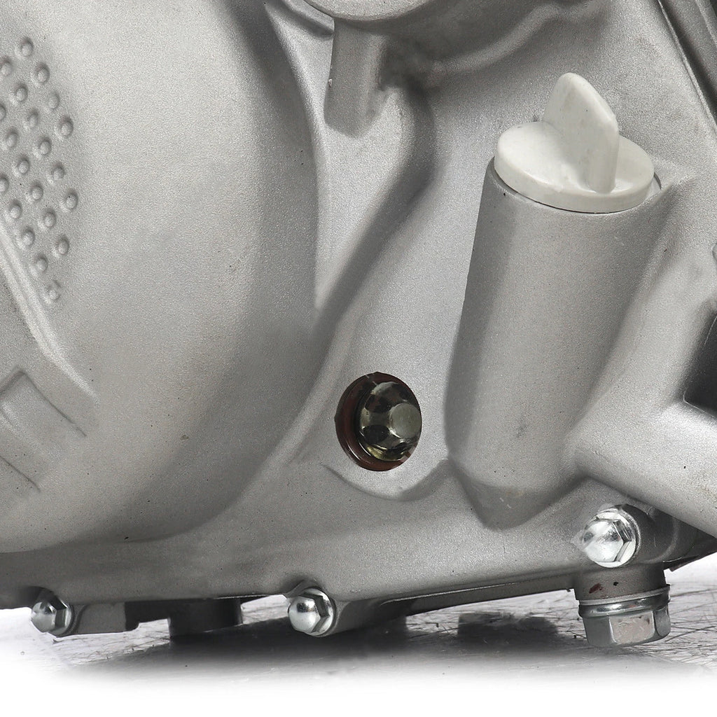 ZS212 Engine Single Cylinder 4-Stroke 11：1 For Zongshen Daytona Anima 190 ZS190 YX150 ZS155 Motorcycle Engine Components