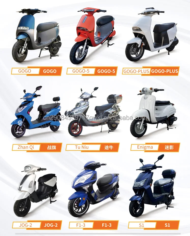 Custom 2000W 2 Seaters Electric Motorcycle Chopper Street Mopeds Motor Bike 60V 12-45Ah Long Range