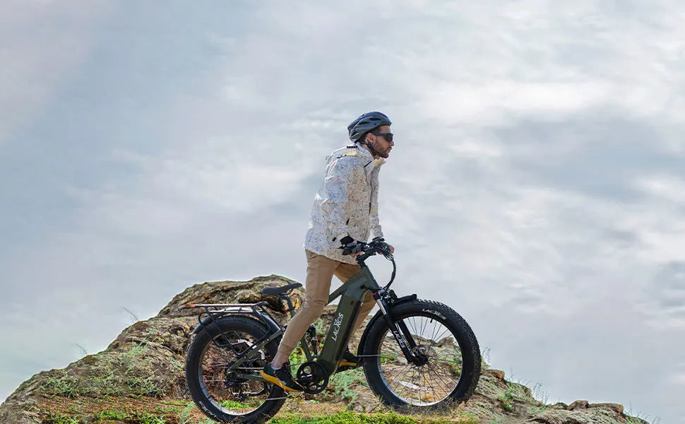 Lacros Thunder adult E-bike，750W city ebike，48V20AH Electric Bicycle，26 Fat Tire E-Mountain bike