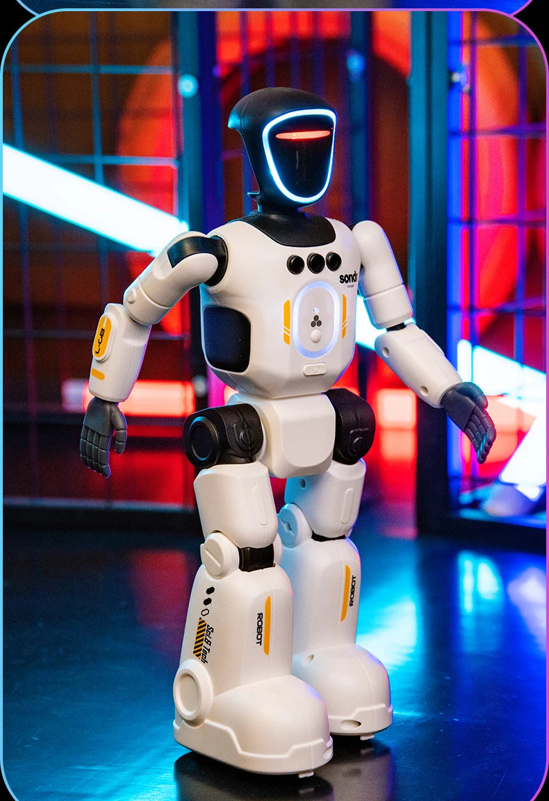 Smart Programming Humanoid Gesture Sensing Remote Control Robot 2.4G Joint Mobility Breathing Light Recording Function RC Robot
