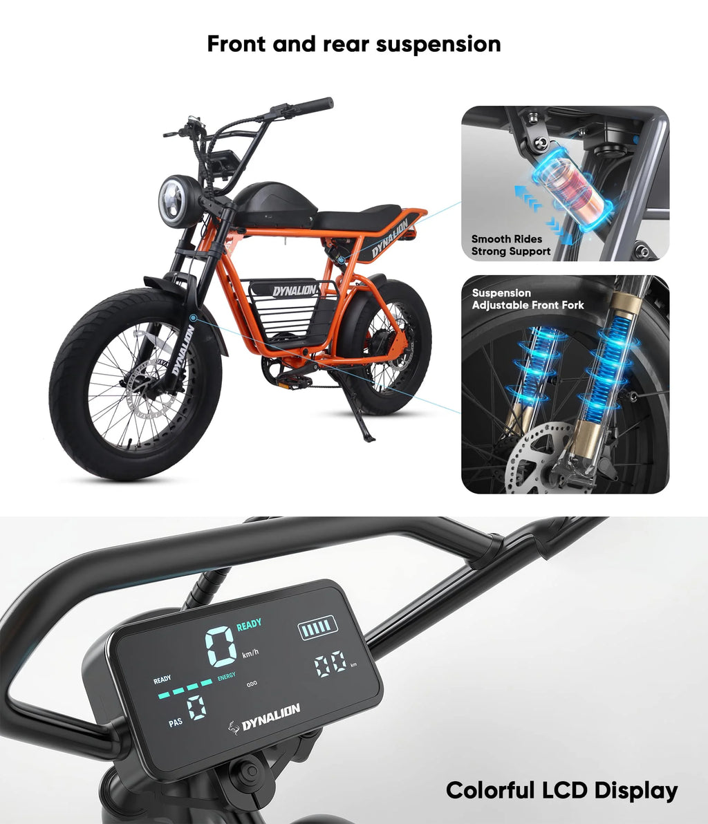 D185 Fatbike Electric Fat Tire Tyre Bike Electric Mountain Bike Front Suspension Off-road Adult E Electric Dirt Bike E-bike Dirt