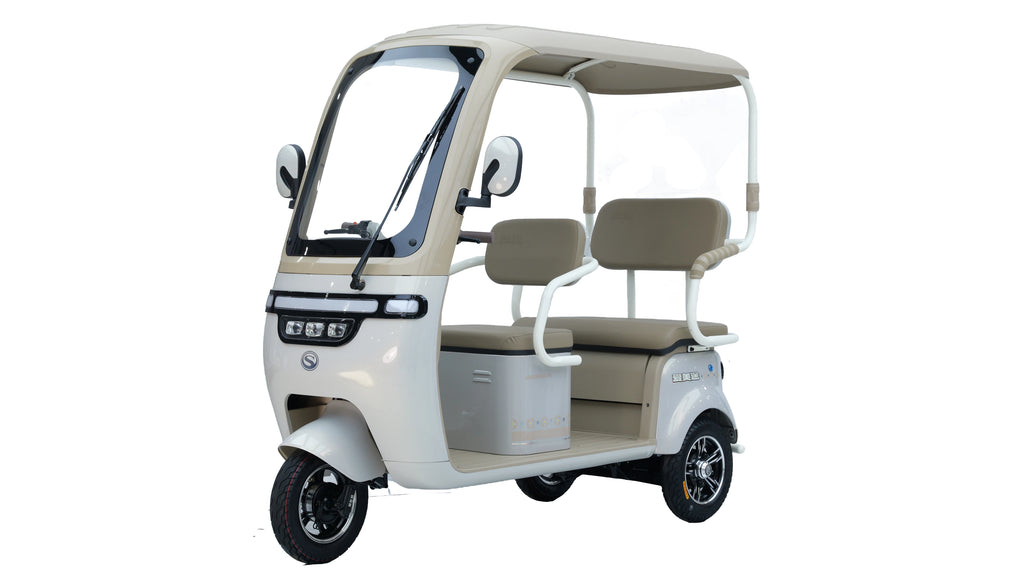 Direct Sale High Quality 3-Wheel Electric Bike for Adults New Tricycle Adult Electric Tricycle Cover Factory Direct From China