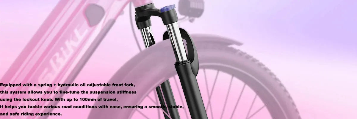 24" Fat Tire Electric Bike 48V 1100W Peak 28MPH Adult Mountain Commuter E-Bike