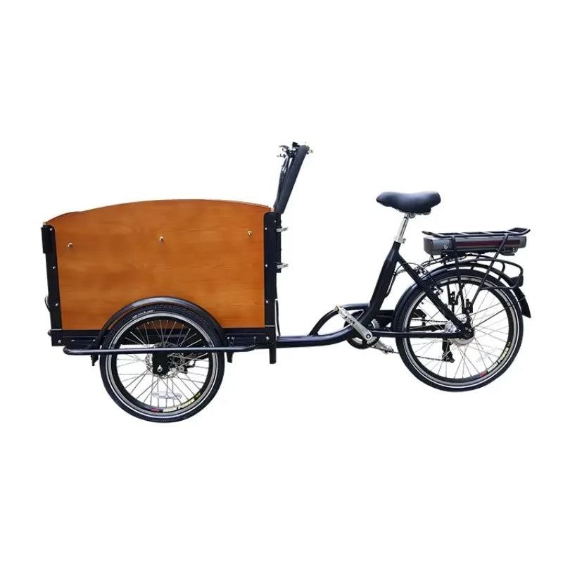 Electric tricycle tricycle pedal assist electric taxi bicycle