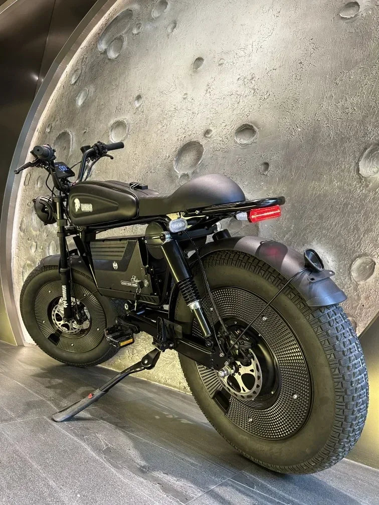 Electric bike himoto 3000W Motor 48V60AH lithium battery adult Off-road Electric Bicycle 20 inch fat tire Hydraulic brake E-bike