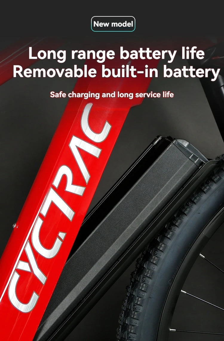 Top Quality Carbon Electric Bike Bafang M510 Mid Motor 250W Mountain Bicycle 29 Inch EMTB With Hidden Battery For Men