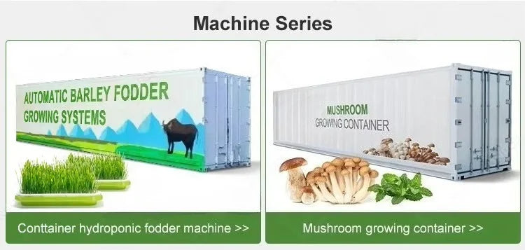 Customized 20ft 40ft Container Farm, Hydroponic Growing System Agricultural Greenhouse for Mushroom Production