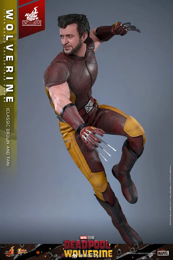 In Stock HotToys MMS831 Wolverine Classic Brown and Tan 1/6 Soldier Figure Animation Action Figure Toy Gift Model Collection