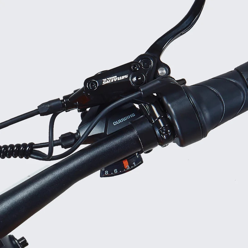 26" Electric Bike 2000W E-Bike For Adults Dual-Motor Bicycle  30mph Fat Tyre