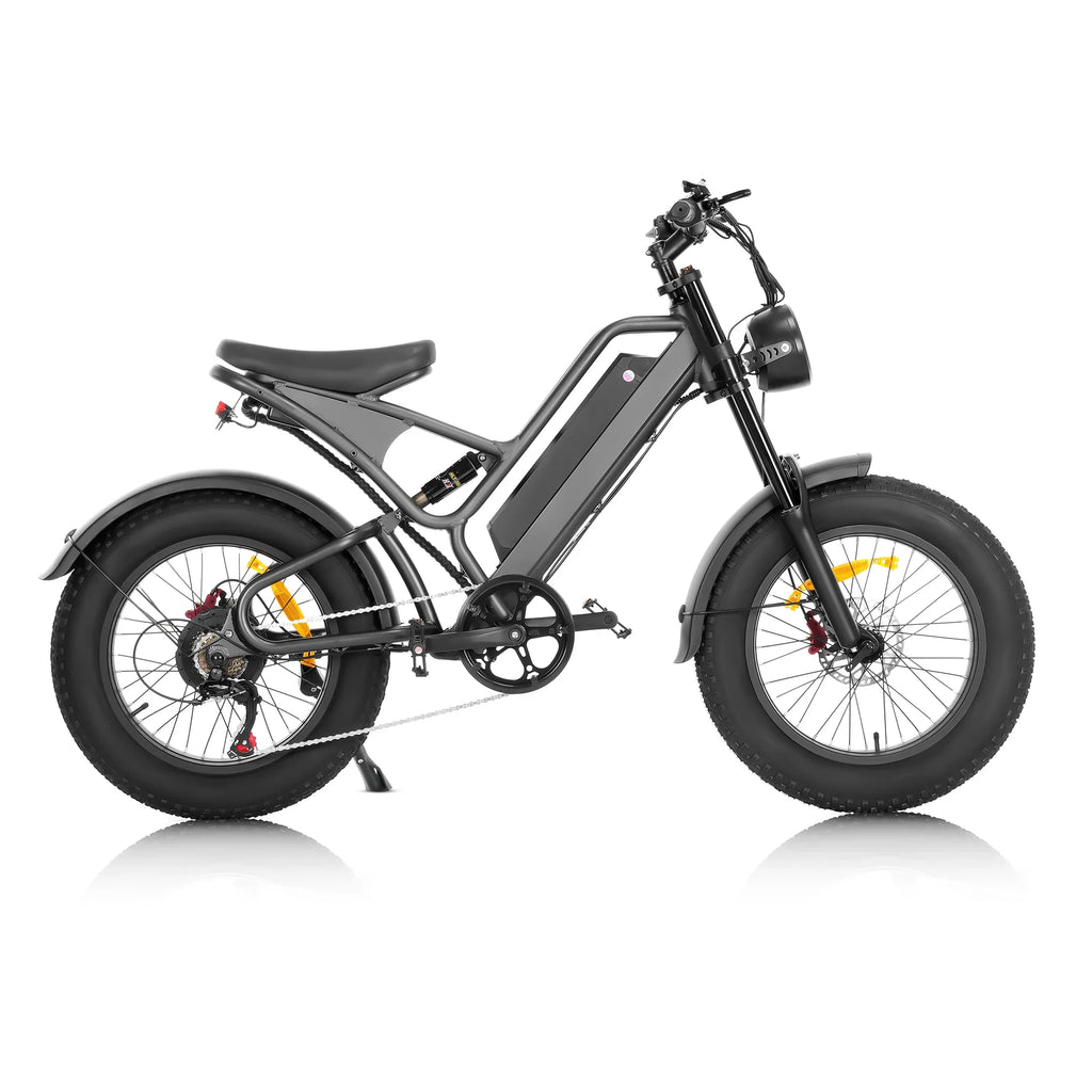 Mountain Bike Electric 48V Fat Tire E-bike Lithium Battery Hybrid