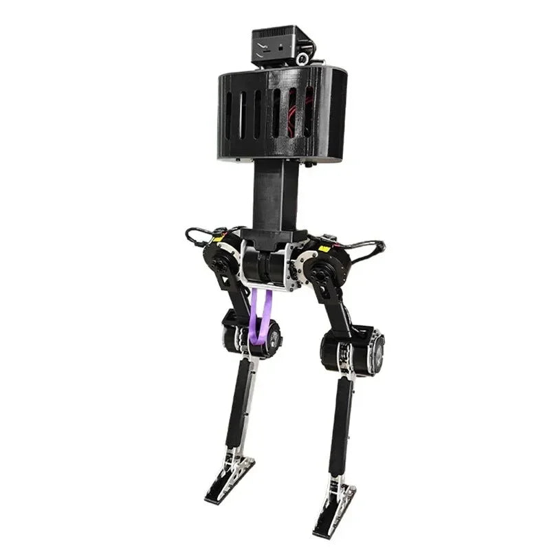 Humanoid robot intelligent machine new era