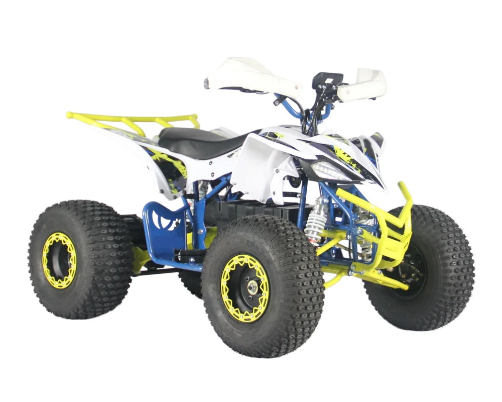 Factory Direct Sale High Cost-Effectiveness Electric ATV Can Choose 48V60V with Ce Certification