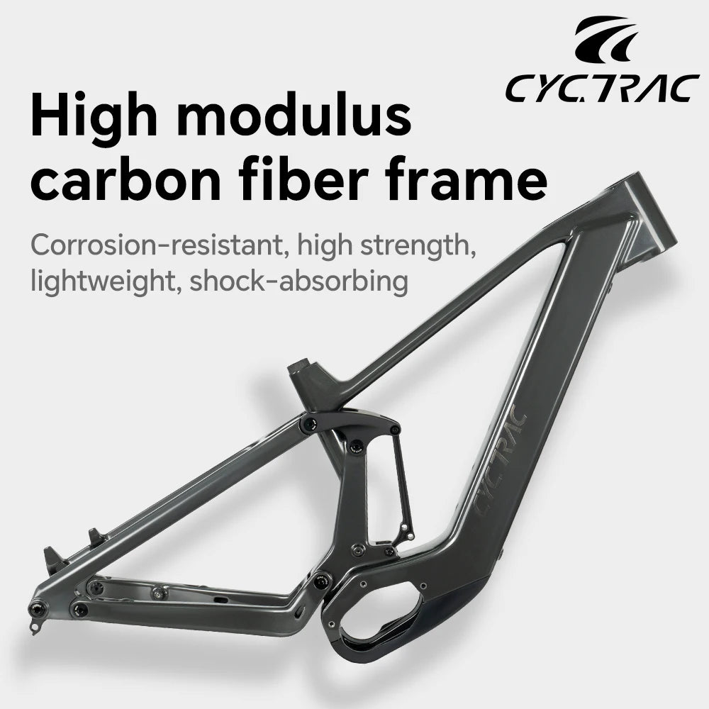 TWITTER EM19 Carbon FiberElectric assistance Bike 250W36V/48VNew21700Battery E-bike M6100 12S Adult All-Terrain Electric Bicycle