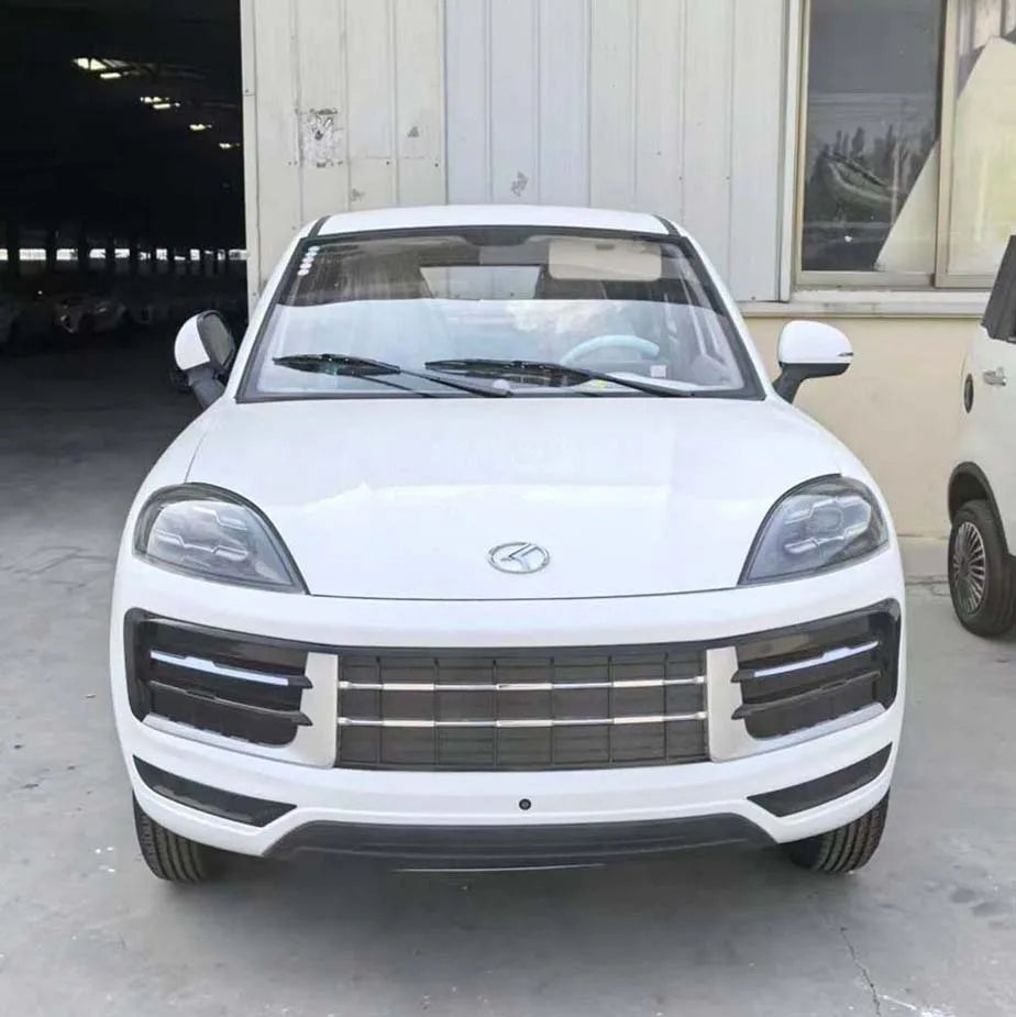 Small electric car for the elderly Luxury electric car for the elderly