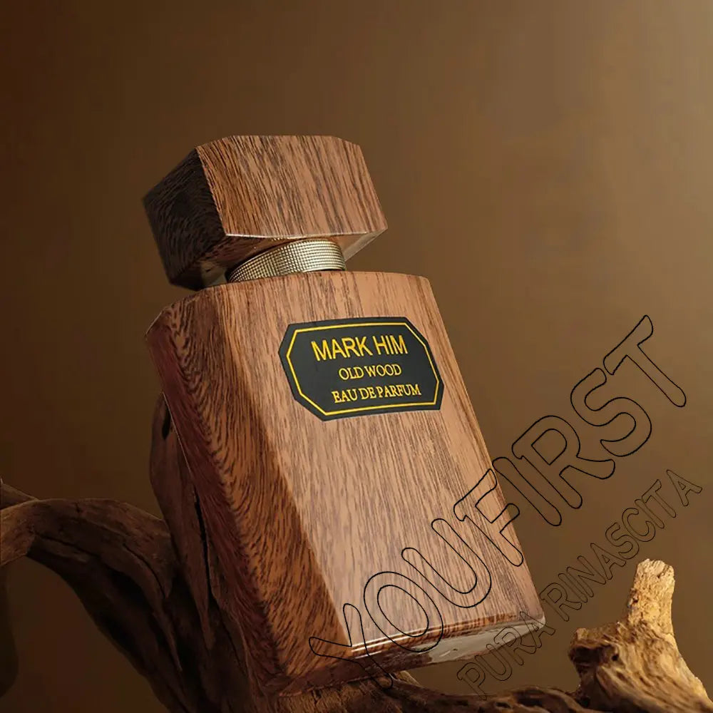 Top Quality Cologne Perfume Men 100ml Pheromone Perfumes Hombre Fresh Natural Woody Scent Spray Homme Profumo Uomo Charming Man