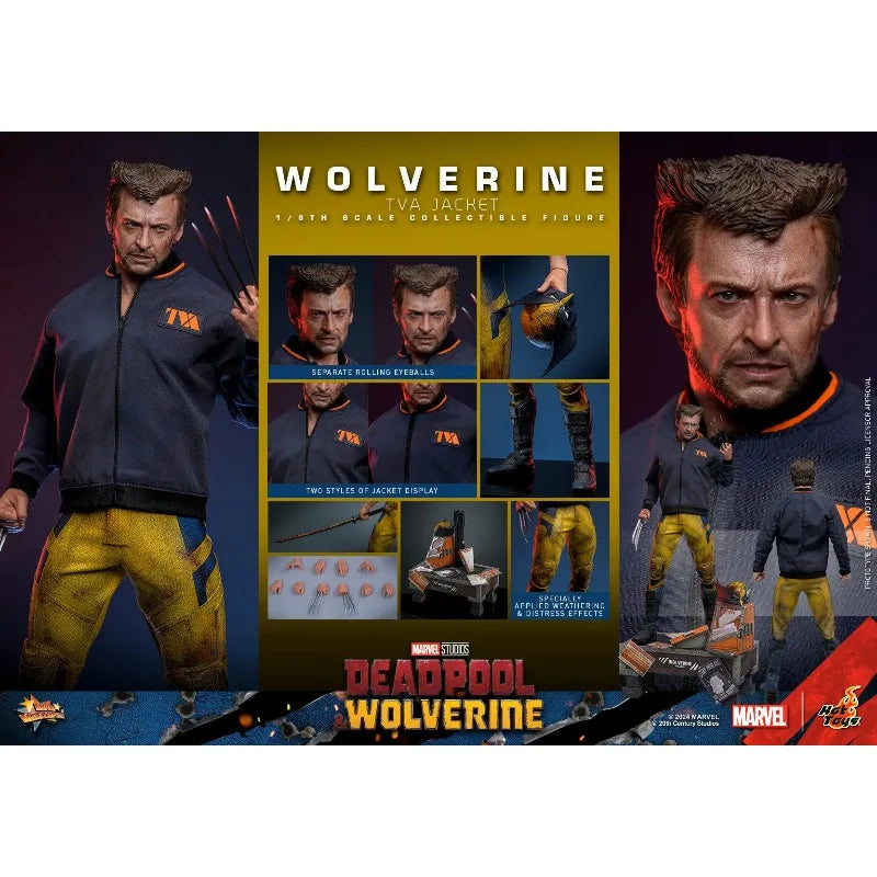 100%  Original HT Toys 1/6 MMS756 Deadpool Wolverine Wolverine TVA Jacket Version Anime Action Collection Figures
