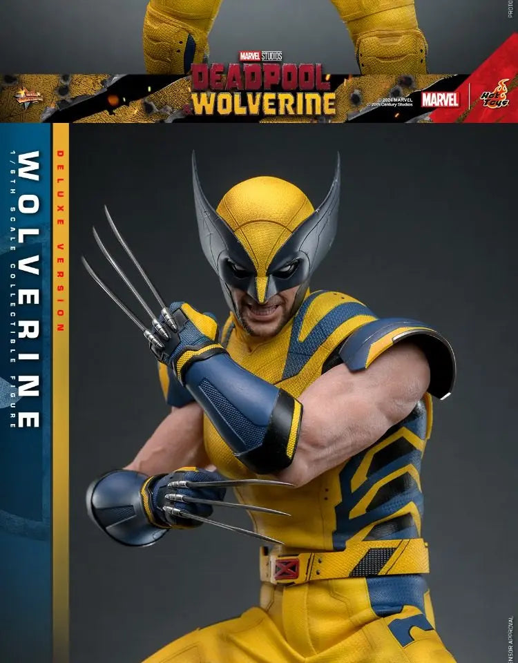 Hottoys Wolverine 1/6 Scale Action Figure MMS754 Deluxe Edition Deadpool And Wolverine Marvel Movie Collectible For Adult Fans