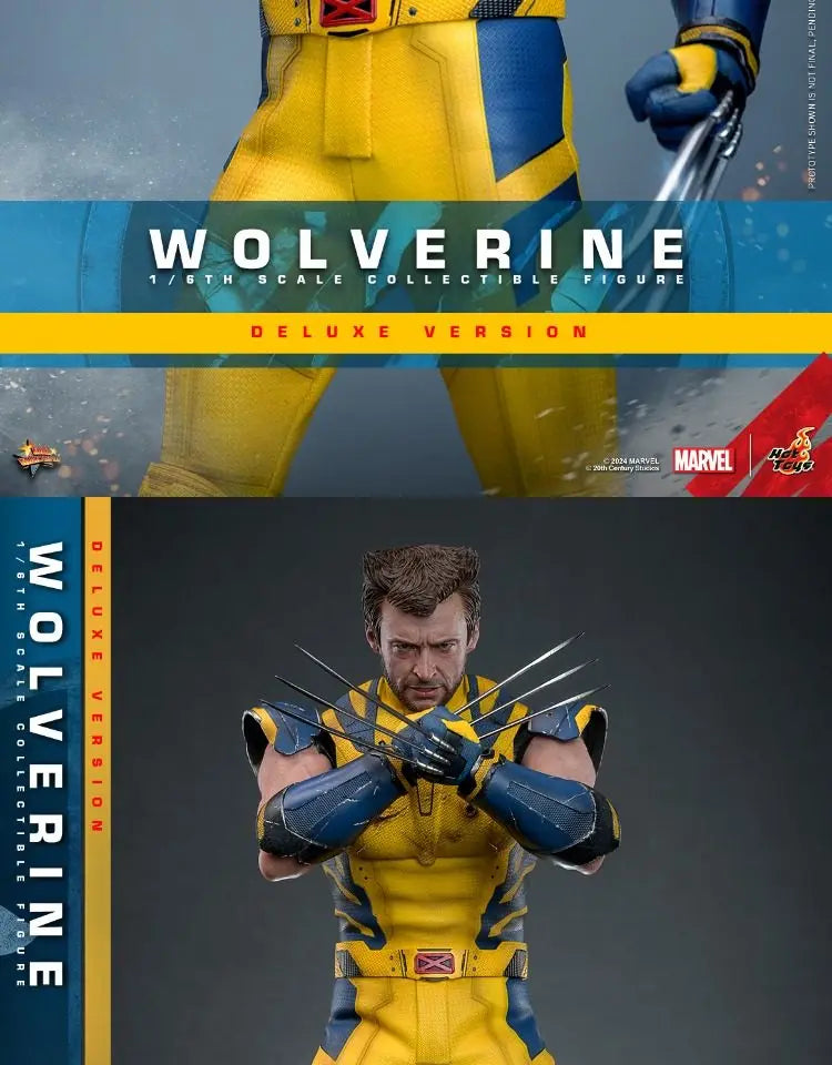 Hottoys Wolverine 1/6 Scale Action Figure MMS754 Deluxe Edition Deadpool And Wolverine Marvel Movie Collectible For Adult Fans
