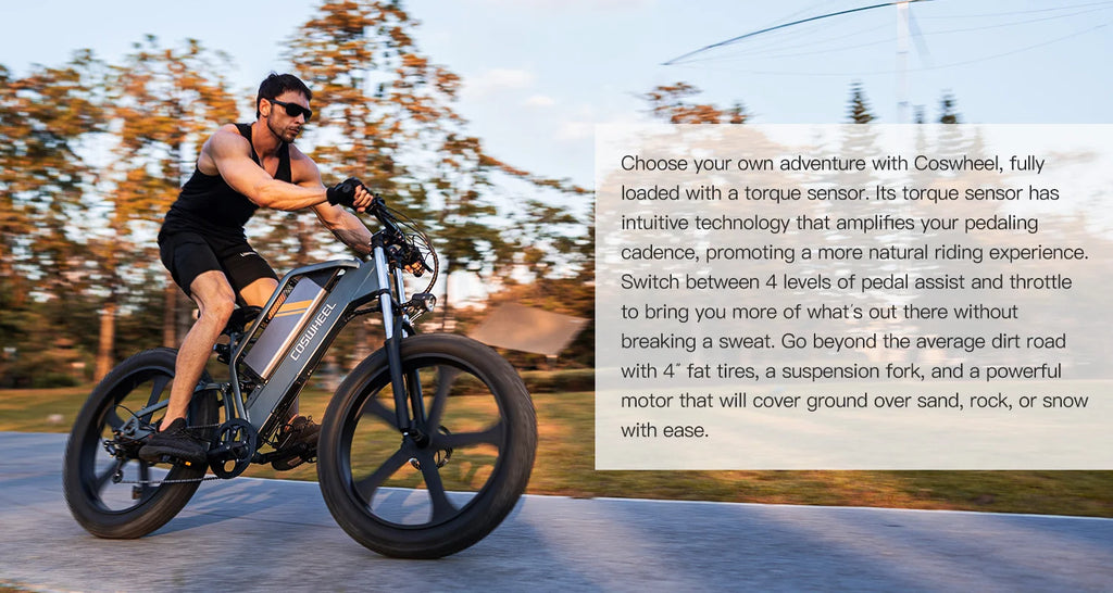 COSWHEEL T26 Electric Bicycle 1500W Ebike Powerful motor 48V25AH lithium battery adult Electric Bike 26*4 Inch Fat Tire E-bike