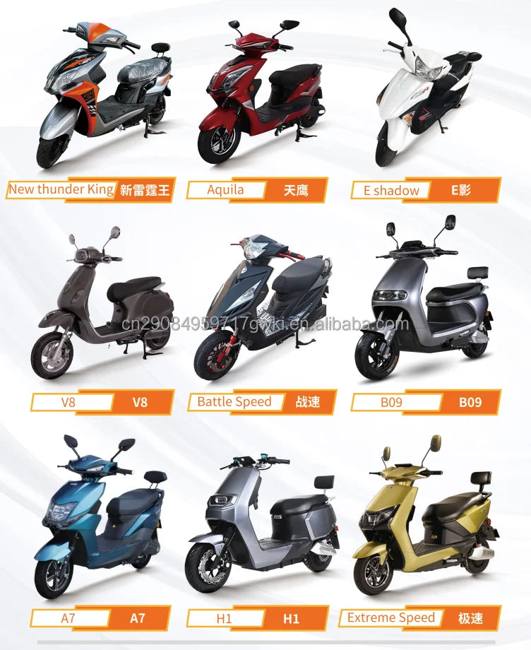 Custom 2000W 2 Seaters Electric Motorcycle Chopper Street Mopeds Motor Bike 60V 12-45Ah Long Range