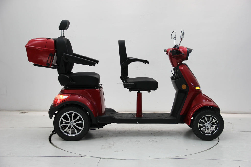 New Den Two Seat Four-Whee Electric Mobility Scooter Travel Together with 60V20AH Lithium Battery for the Eld