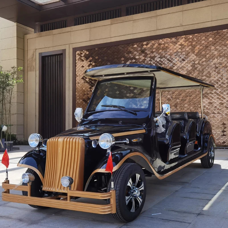 8 seats of the latest popular Chinese electric classic car electric car for sale
