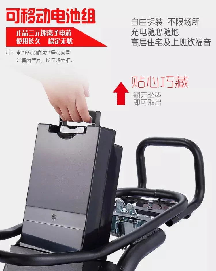 electric car two-wheel skateboard parent-child non-folding bicycle wide tire