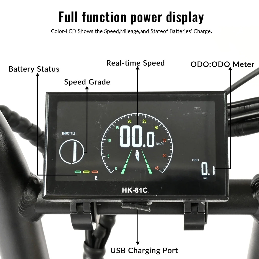 Baolujie DP2033 Electric Bicycle 2000W Dual Motor 48V30AH Lithium Battery E-bike 20*4 Inch Fat Tire Mountain Cargo Electric Bike