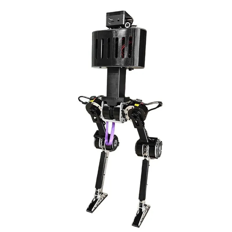 Humanoid robot intelligent machine new era