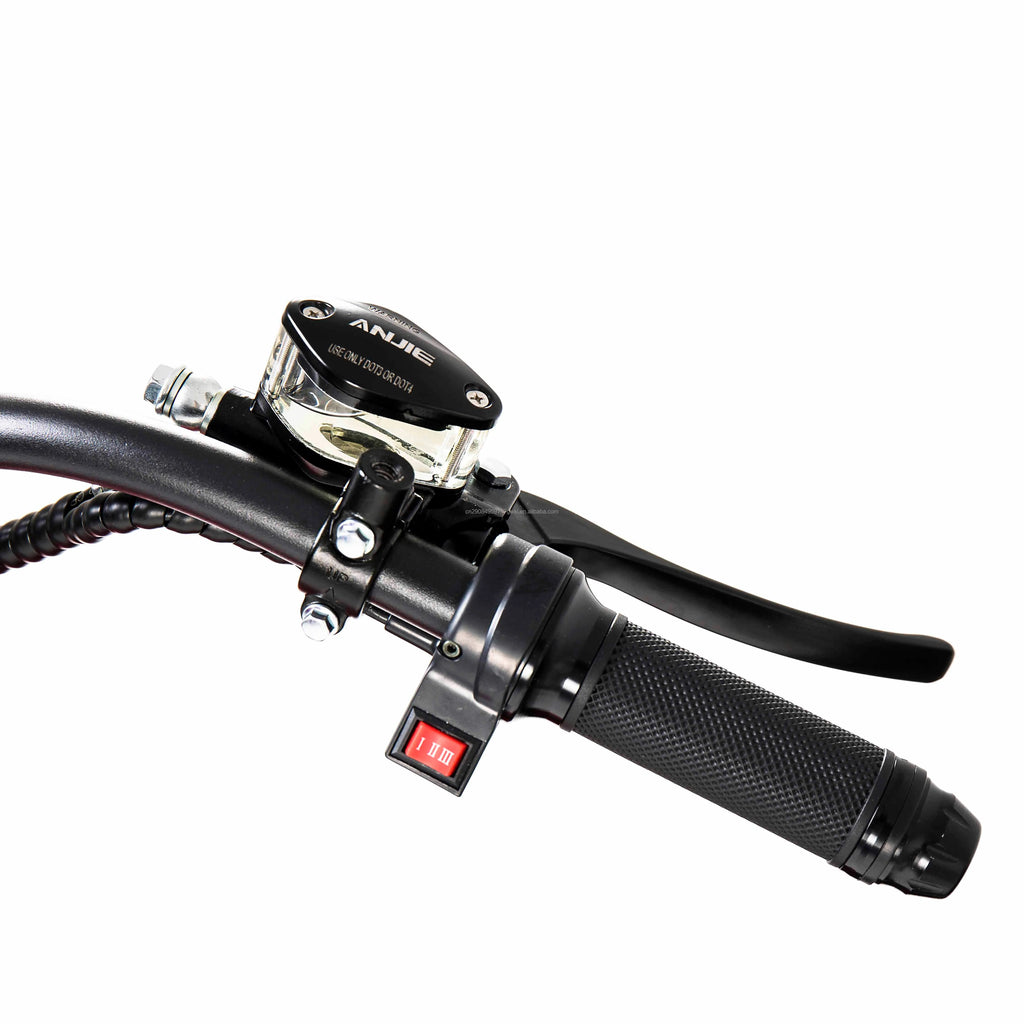 Custom 2000W 2 Seaters Electric Motorcycle Chopper Street Mopeds Motor Bike 60V 12-45Ah Long Range