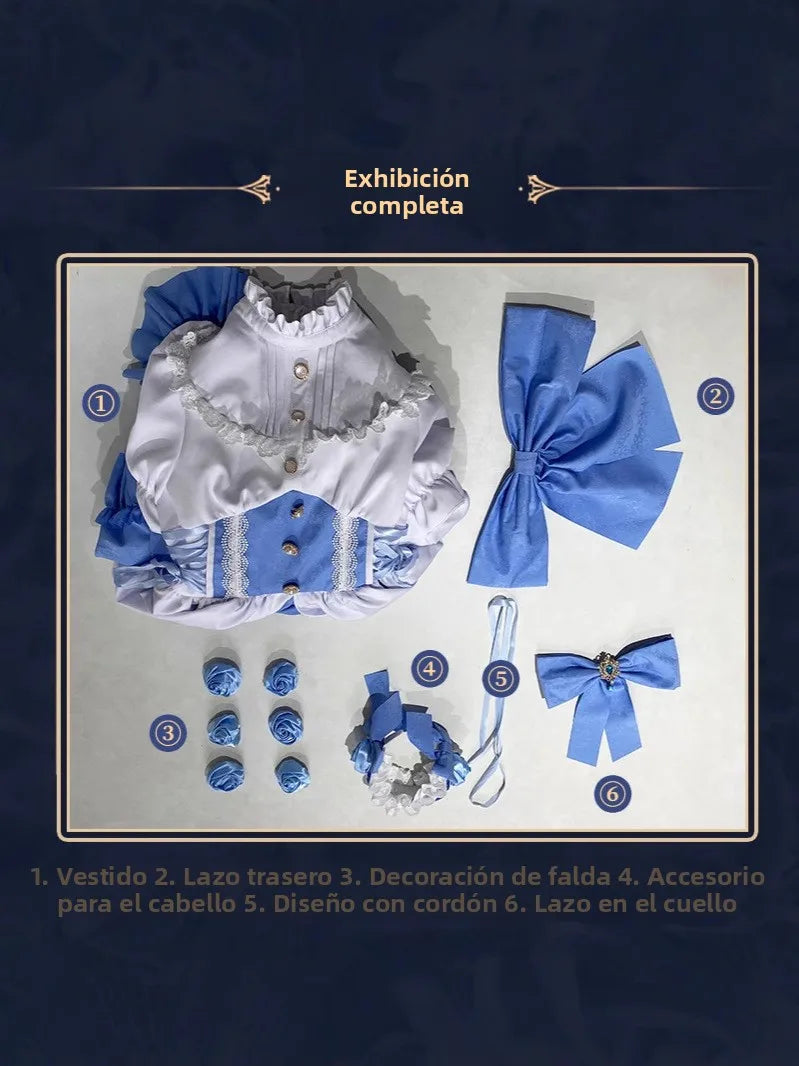 Rem Blue White Gothic Cosplay Costume for Women Zero Starting Point in Another World Life Game Anime Fashionable Cosplay Dress
