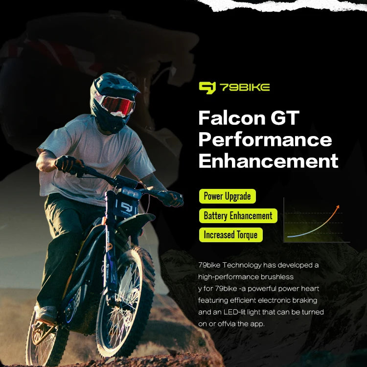 Electric Dirt Bike Top Speed 95KM/H 16.8KW Dirt E Bike 79Bike GT 120KM Long Range